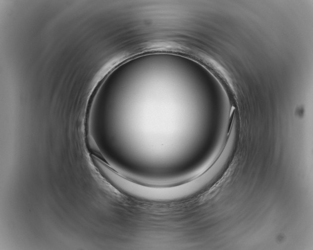 X0000099491330200805291058