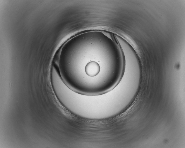 X0000099491332200805291058