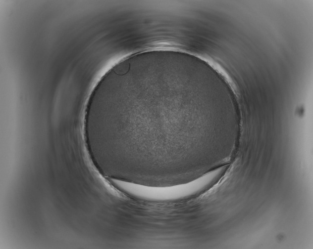 X0000099491333200805291058