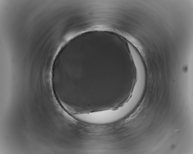 X0000099491334200805291058