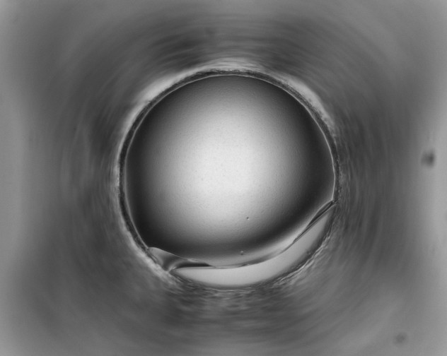 X0000099491335200805291058