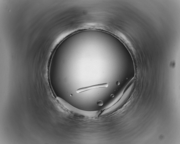 X0000099491336200805291058