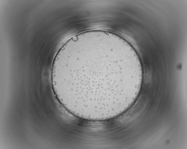 X0000099491338200805291058