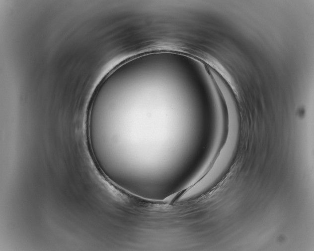 X0000099491339200805291059