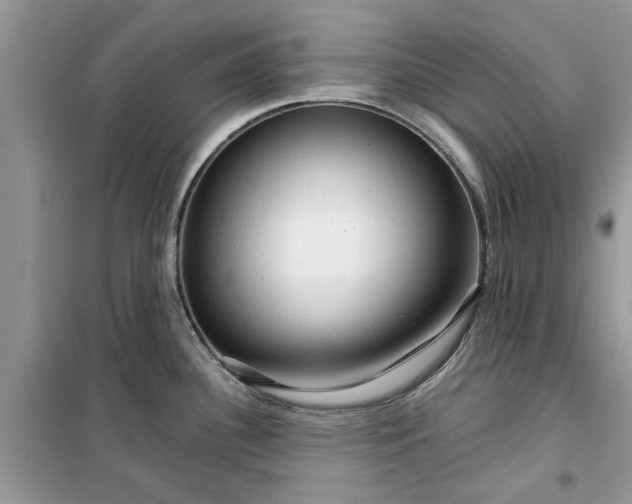 X0000099491340200805291059