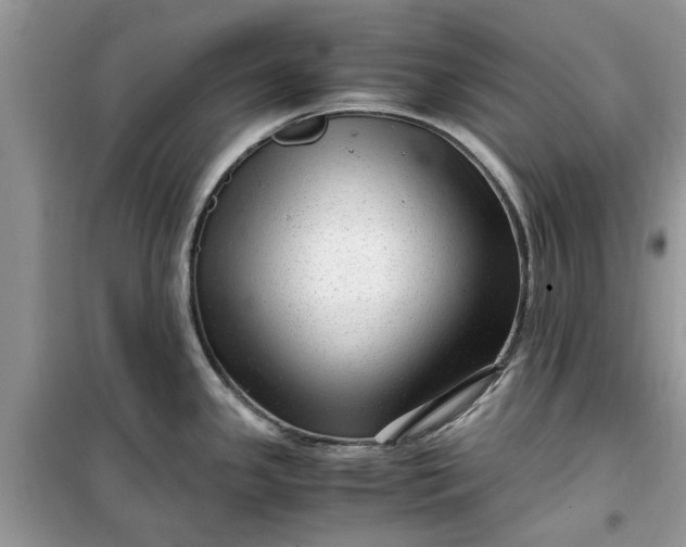 X0000099491341200805291059