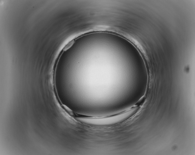 X0000099491342200805291059