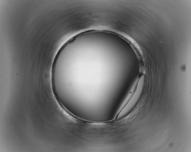 X0000099491343200805291059