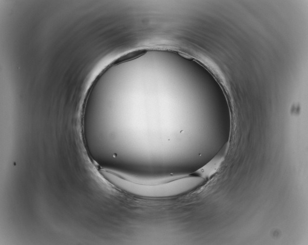 X0000099491344200805291059