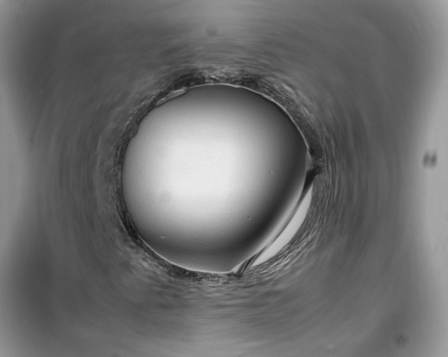 X0000099491345200805291058