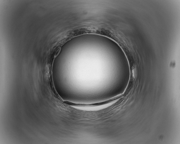 X0000099491347200805291058