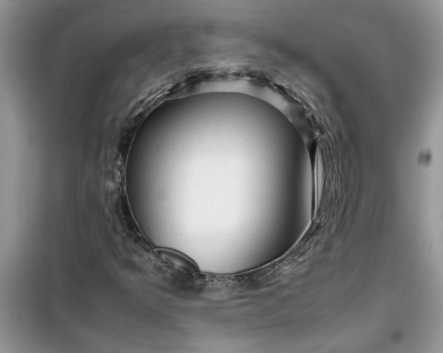 X0000099491349200805291058