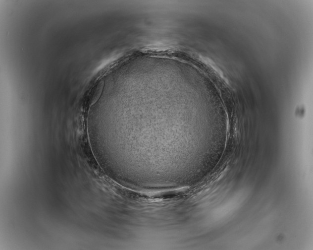 X0000099491350200805291058