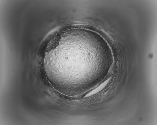 X0000099491351200805291058