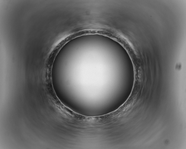 X0000099491352200805291058