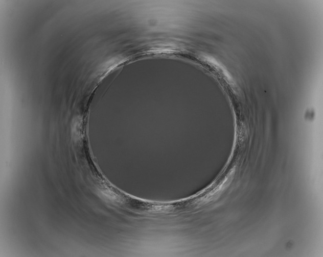 X0000099491353200805291058