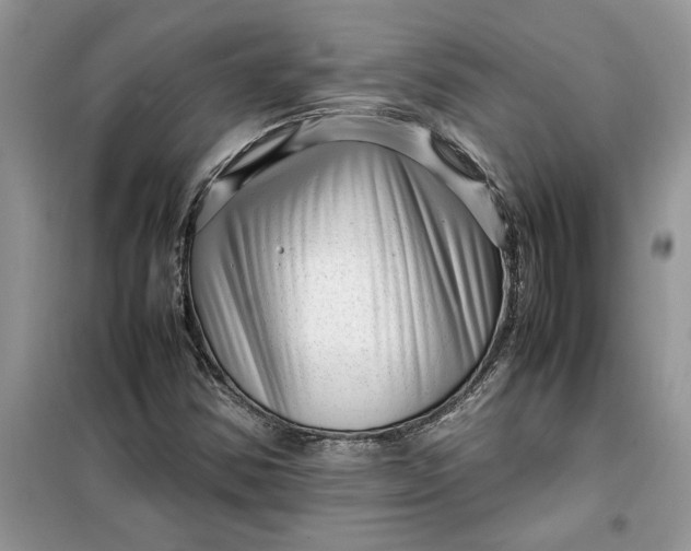 X0000099491354200805291058