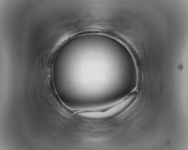 X0000099491355200805291058