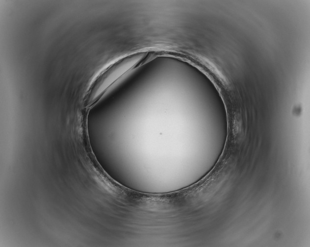 X0000099491356200805291058