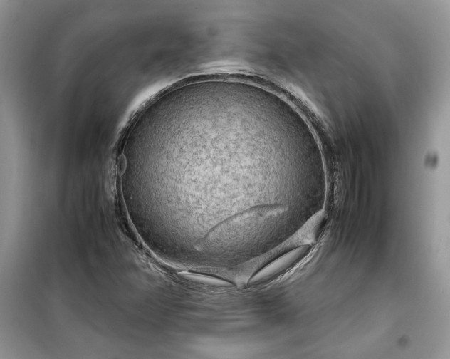 X0000099491358200805291058