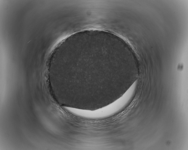 X0000099491359200805291058