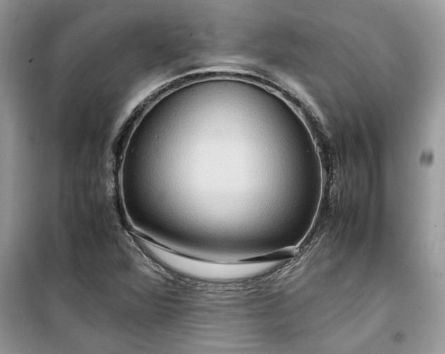 X0000099491360200805291057