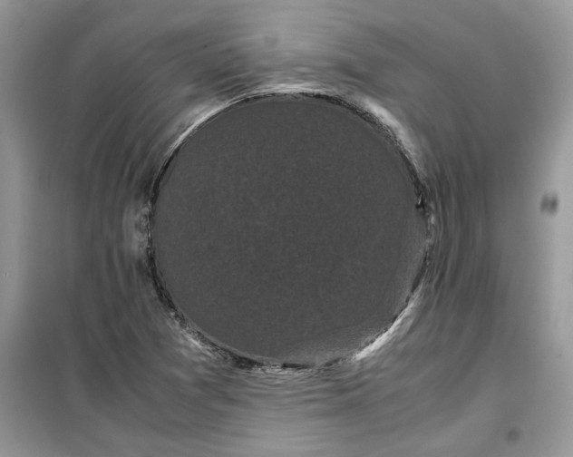 X0000099491361200805291057