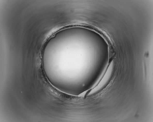 X0000099491363200805291057