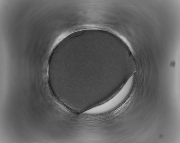 X0000099491365200805291057