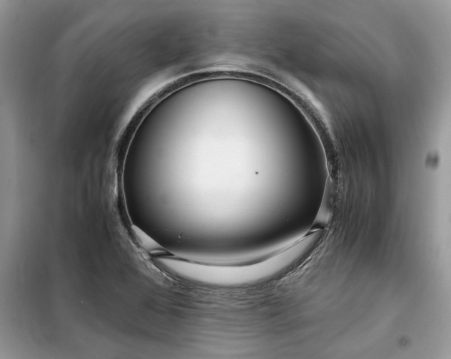 X0000099491368200805291057