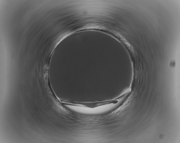 X0000099491369200805291057