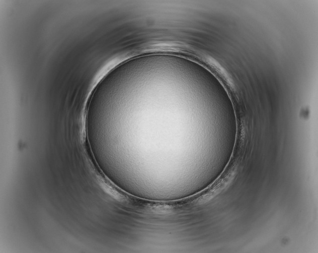 X0000099491370200805291057