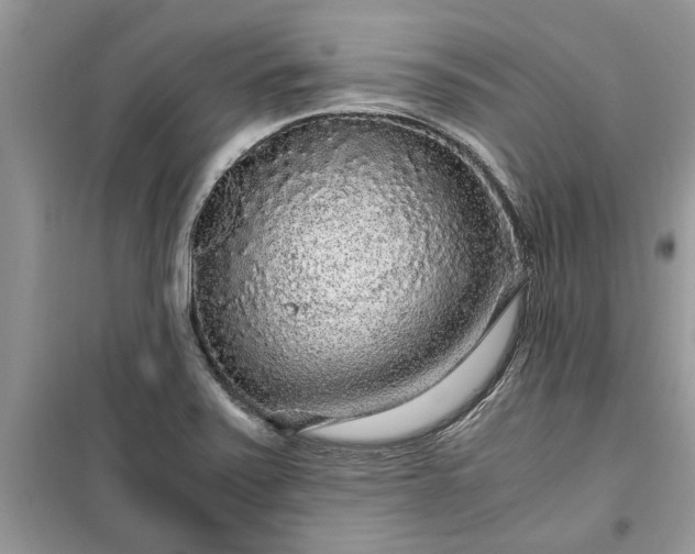 X0000099491371200805291057