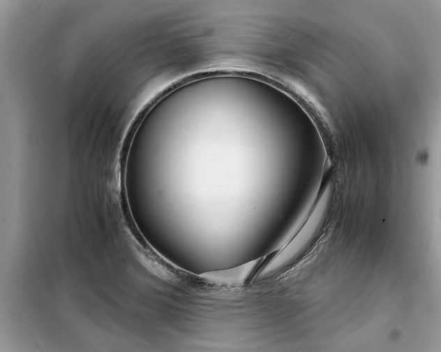 X0000099491372200805291057