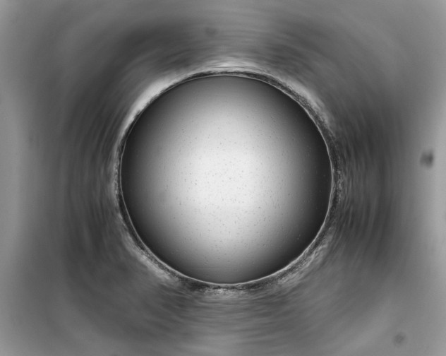 X0000099491374200805291057