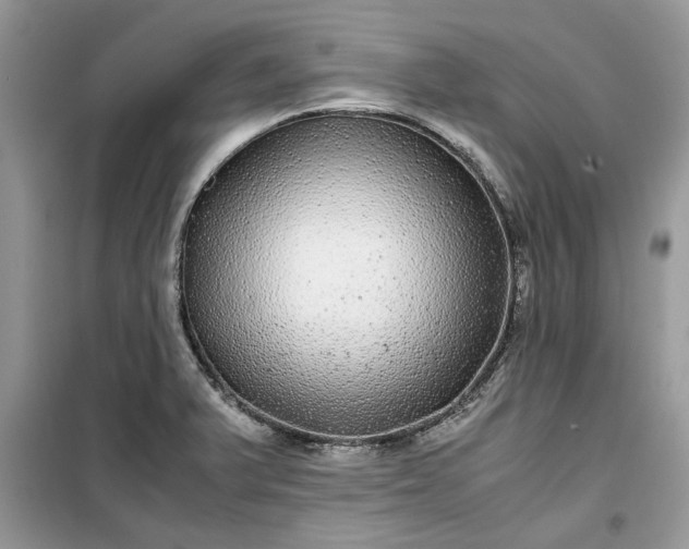X0000099491375200805291057