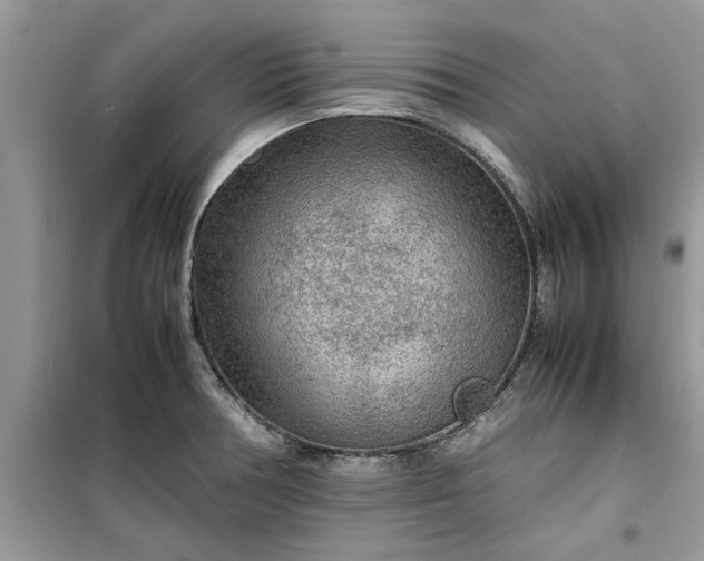X0000099491378200805291057