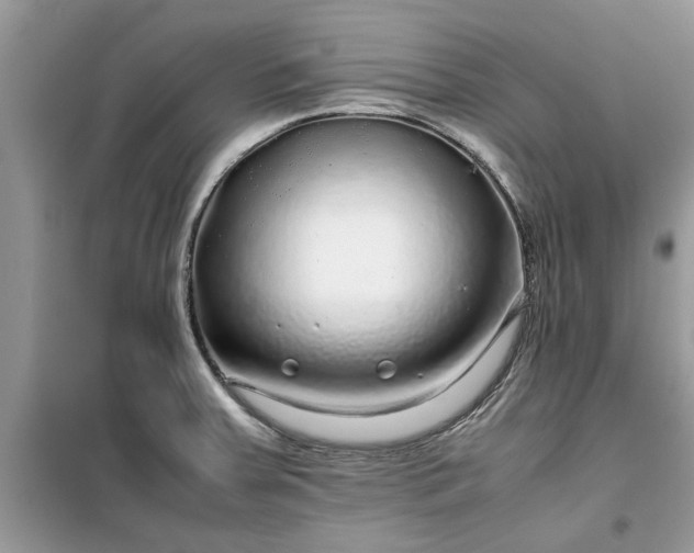 X0000099491379200805291057