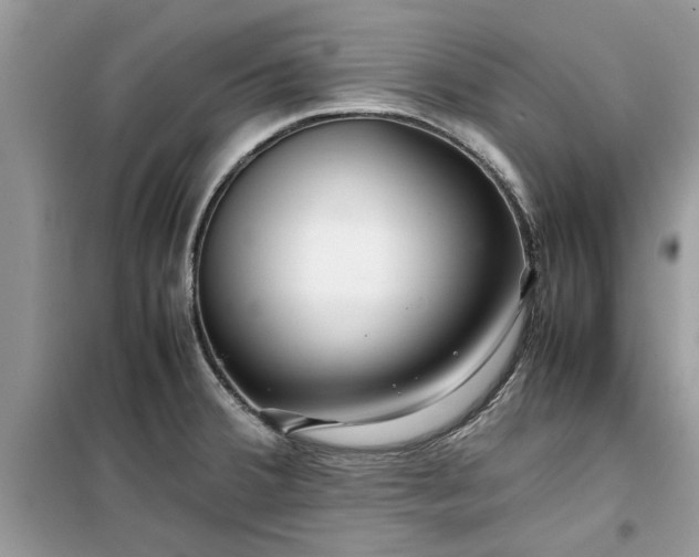 X0000099491380200805291057