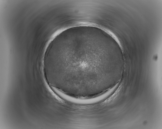 X0000099491381200805291057
