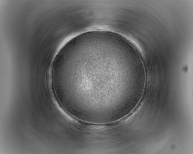 X0000099491382200805291057