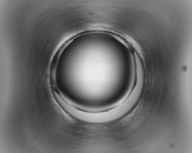 X0000099491384200805291057