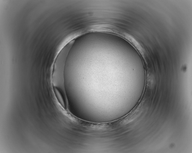 X0000099491386200805291057
