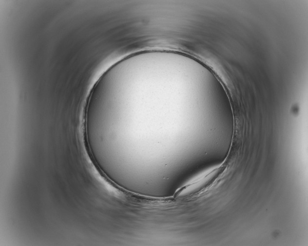 X0000099491387200805291057