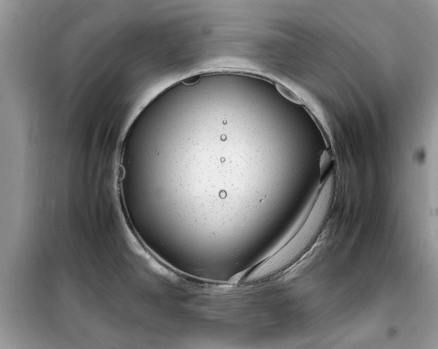 X0000099491390200805291057