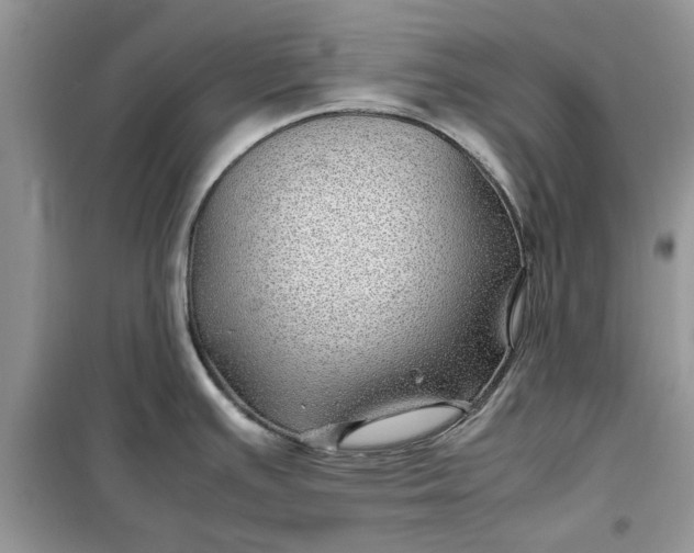 X0000099491391200805291057