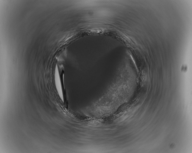 X0000099491394200805291056