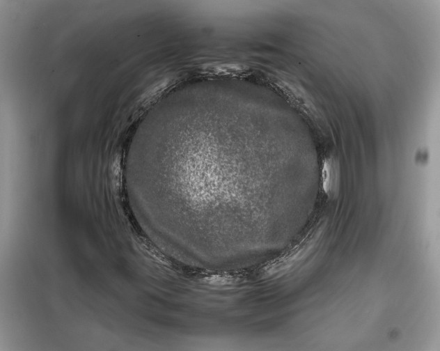 X0000099491395200805291056