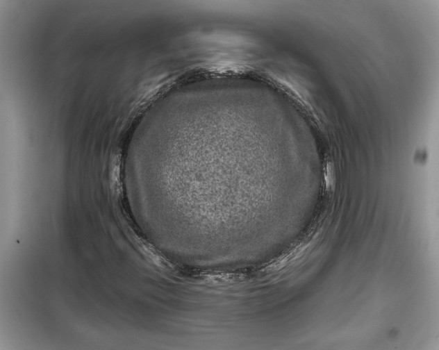 X0000099491396200805291056