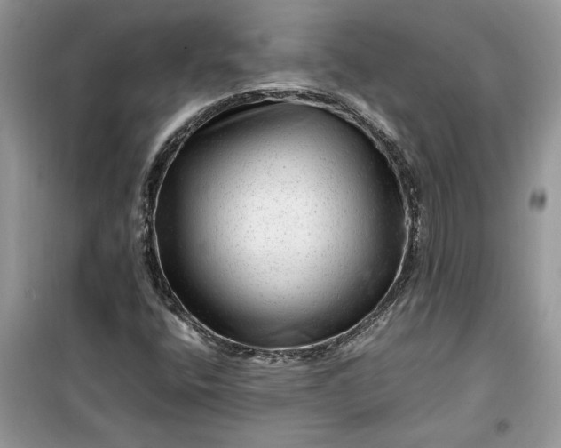 X0000099491400200805291056